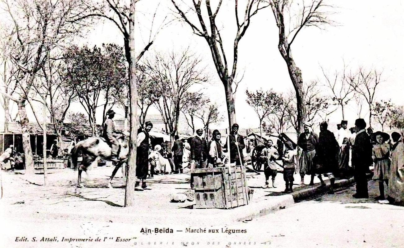 1729- Ain-Beida - Le Marche aux legumes.jpg